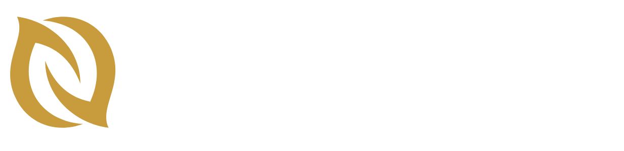Povjesnik